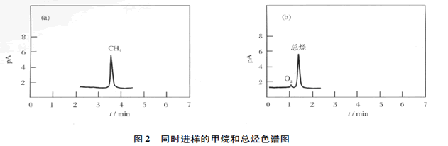 同时进样的甲烷和总烃色谱图